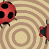 lady-bugs